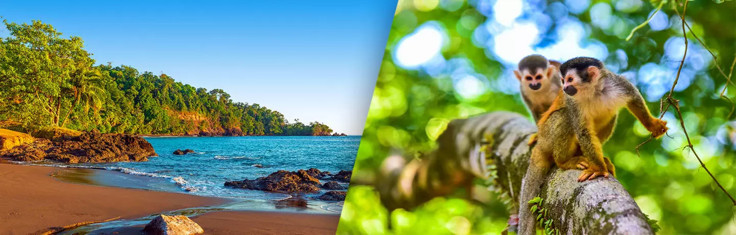 ✈ COSTA RICA | San José - L'essenziale della Costa Rica con estensi...