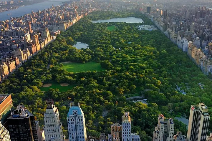 Classic 1-Hour Central Park Pedicab Tour - Primary Image