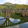 Image 8: ✈ PORTUGAL | Porto - Le Douro, joyau inépuisable et traditions ance...