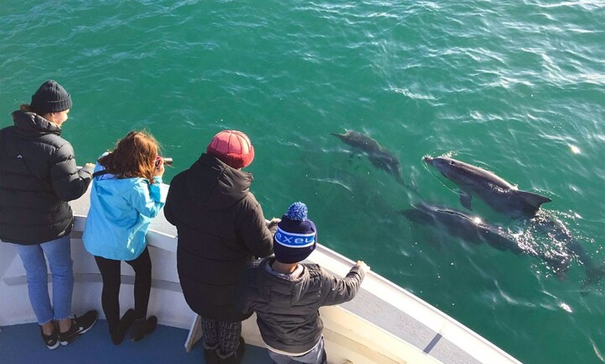 Image 9: Kangaroo Island 75-Minute Coastal Safari