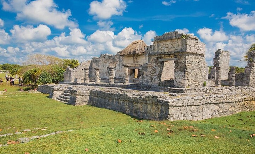 Image 3: Tulum & Dolphin Connection from Cancun