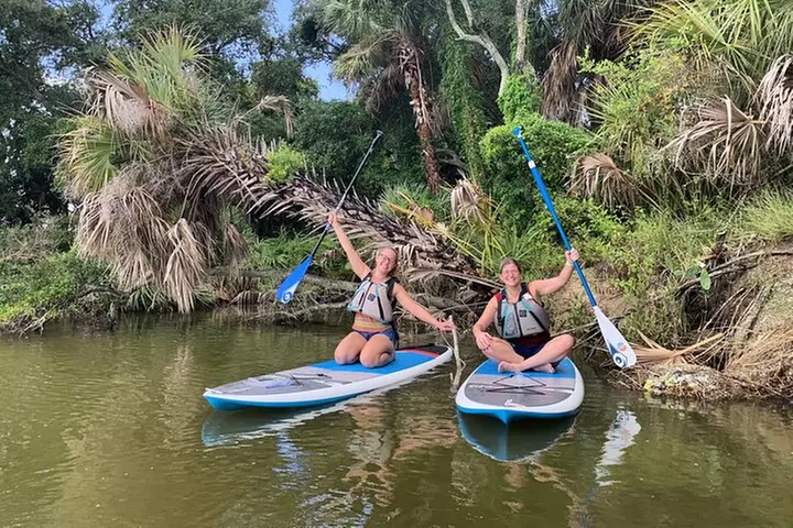 Wildlife Refuge Manatee, Dolphin & Mangrove Kayak or Paddleboarding...