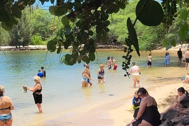 Oahu Circle Island: Snorkel with Turtles & Explore Turtle Beach