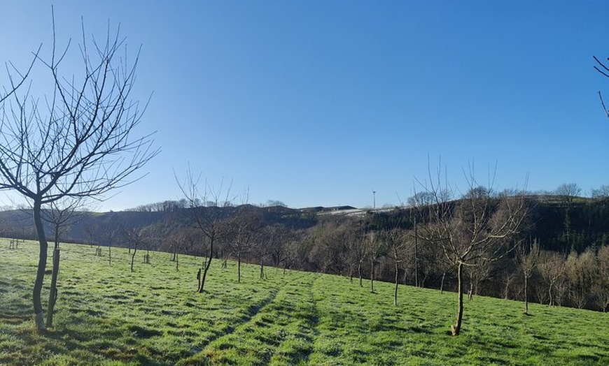 Image 4: Cider Orchard and Vineyard Tour