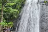 El Yunque National Rainforest and Luquillo Beach Tour