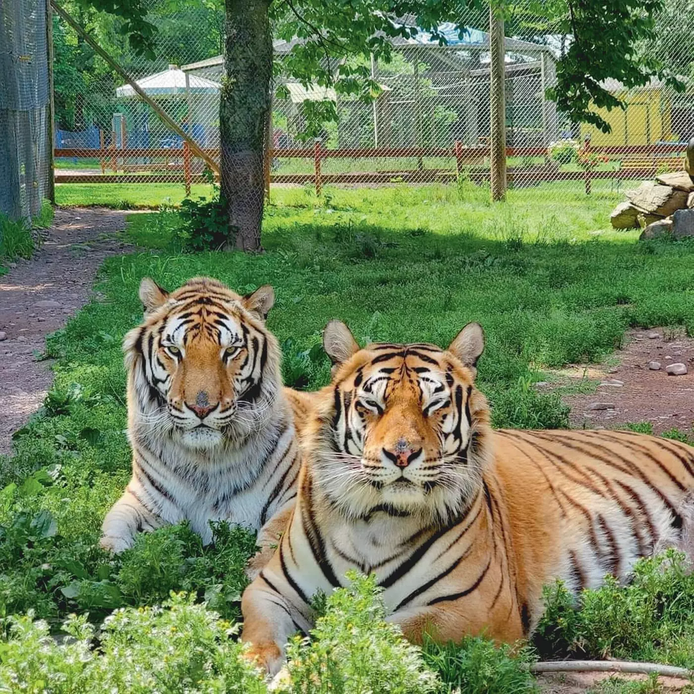 $18 For 2 Adults (Reg. $36) Valid for 2024-2025 Season - Second Medium