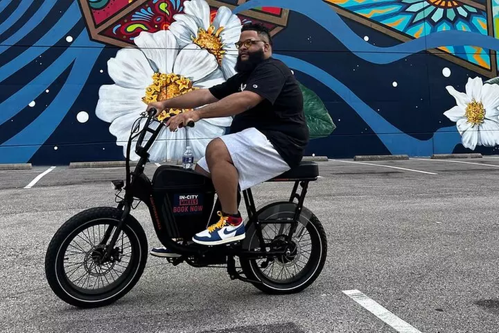 Smart Tour: Dallas Mural E-Bike Tour