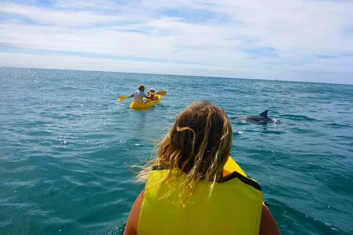 Rainbow Beach: Dolphin & Wildlife Ocean Kayak & Beach 4WD Tour