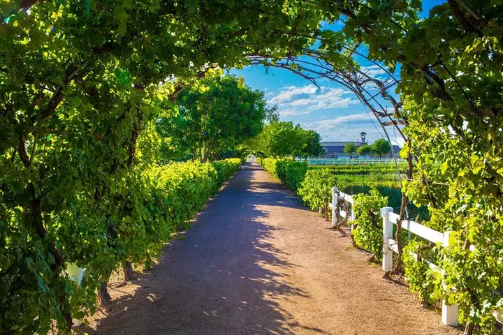 Private Tour: Arizona Foodie Trail - Second Medium