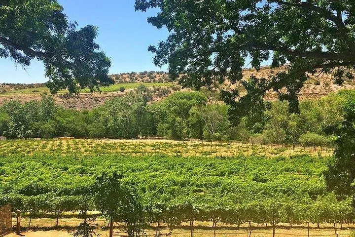 Bliss - Sedona's Most Luxurious Wine Tour - Lunch Included!