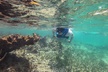 Jungle Tour with Snorkel in Cancun - Second Medium