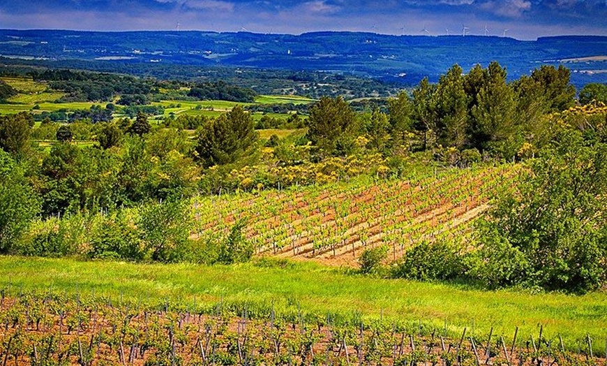 Image 2: Forfait 1 jour : visite du vignoble, dégustation de vins, dîner et ...