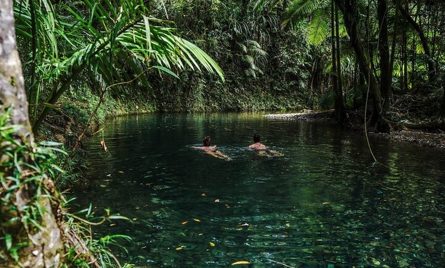 Image 17: Daintree, Cape Tribulation & River Cruise from Port Douglas