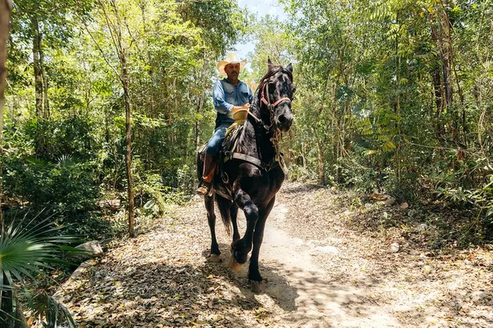 Rider Tour, Horseback Riding, ATV and Cenote