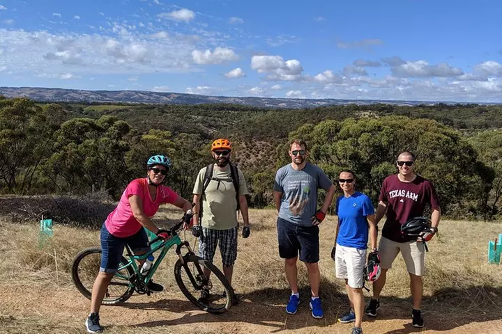 McLaren Vale Wine Tour by E-Bike (Private & Small Group)