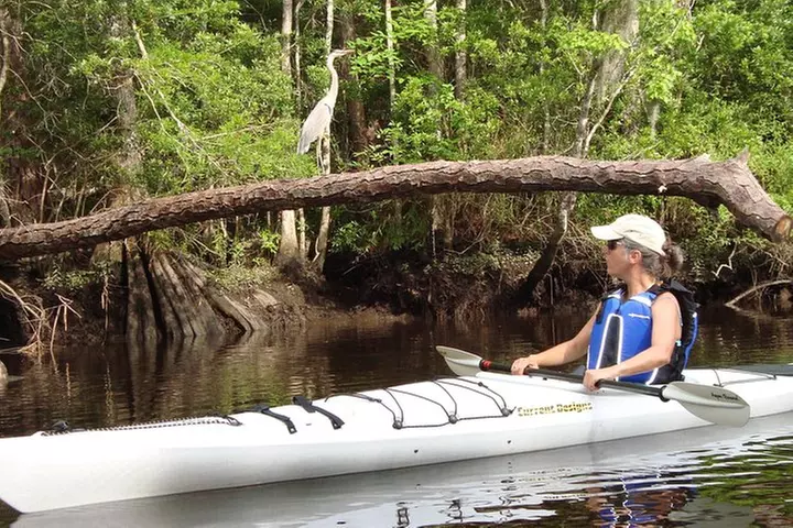 Lofton Creek Kayaking Trip with Professional Guide