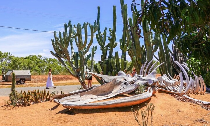 Image 11: Perth to Exmouth & Ningaloo Reef 8 Day Small-Group Boutique Tour
