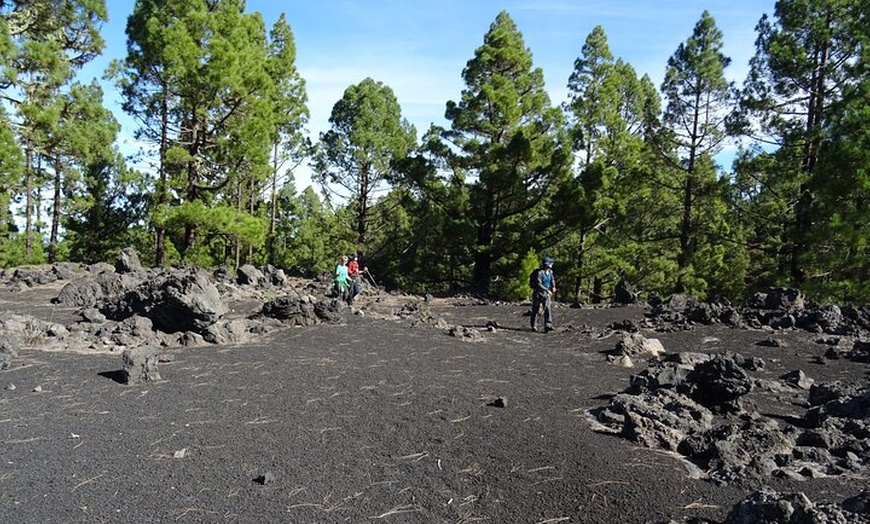 Image 7: Viajes en el tiempo entre los volcanes Trevejo y Chinyero en Tenerife