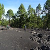 Image 7: Viajes en el tiempo entre los volcanes Trevejo y Chinyero en Tenerife