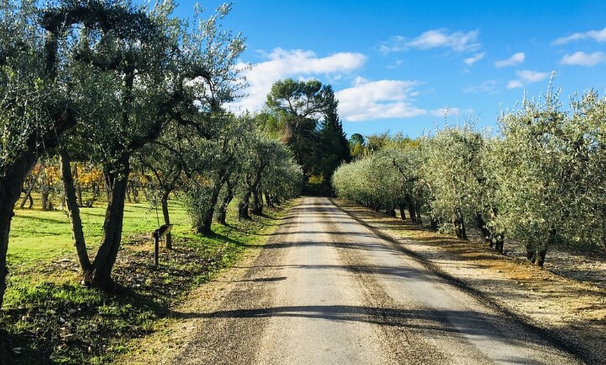 Image 13: Degustazione di vini di Casa Emma