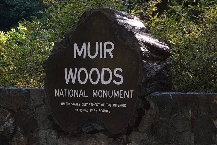 Muir Woods, Sausalito and Tiburon Day Trip from San Francisco - Primary Image