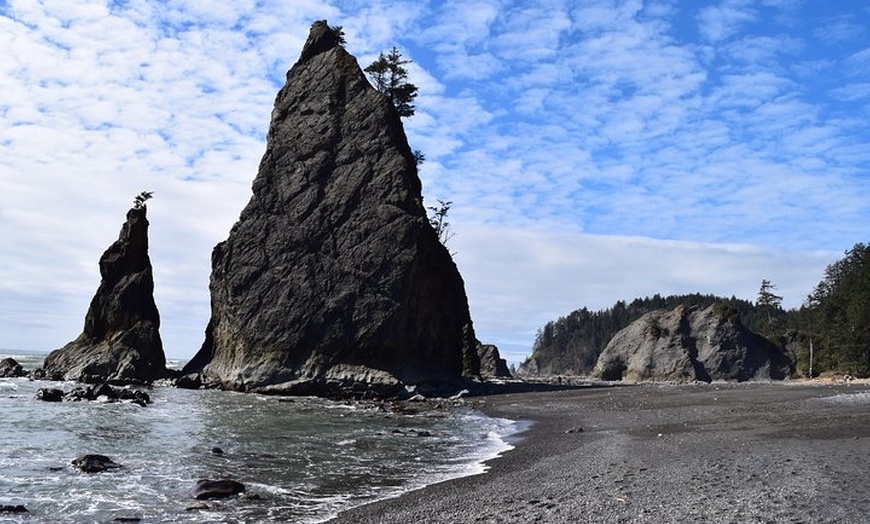 olympic hiking company