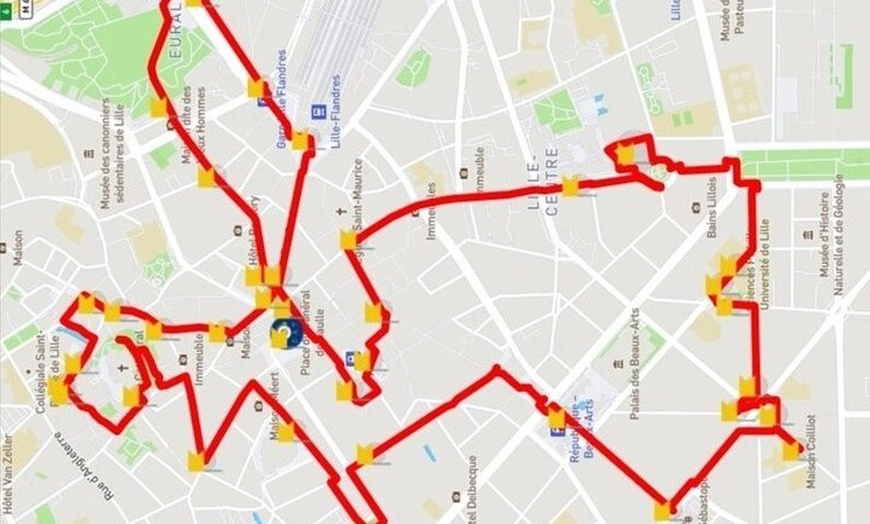 Image 4: Lille: Balade en ville avec audioguide en 7 langues sur votre télép...