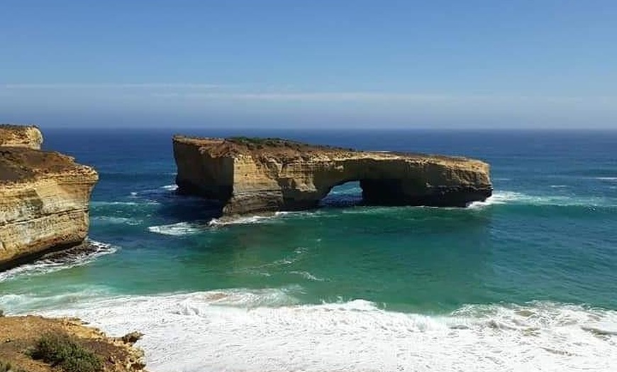 Image 7: Great Ocean Road 12 Apostles kangaroo & koala tour