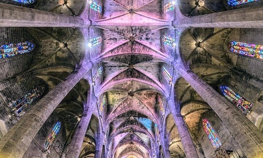 Image 4: Tour en Bici Guiado Privado : Descubre Palma en 3 horas con Local.