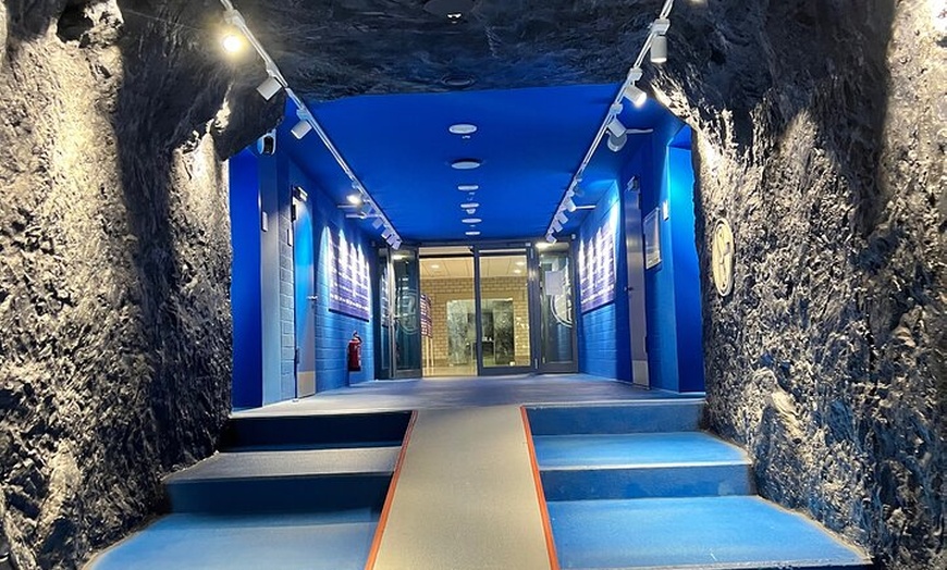 Image 3: Volkswagen T2 Bulli Tour zur Schalke Arena mit Führung