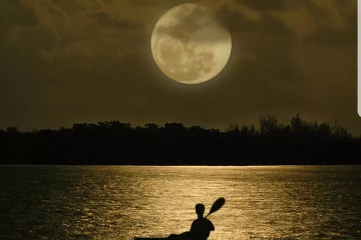 Cocoa Beach Night Time Bioluminescence Kayak Tour