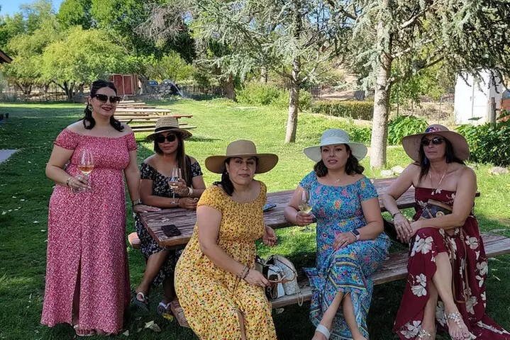 Voted Best in Sedona-Elevated Social Wine Tour of our Vineyards