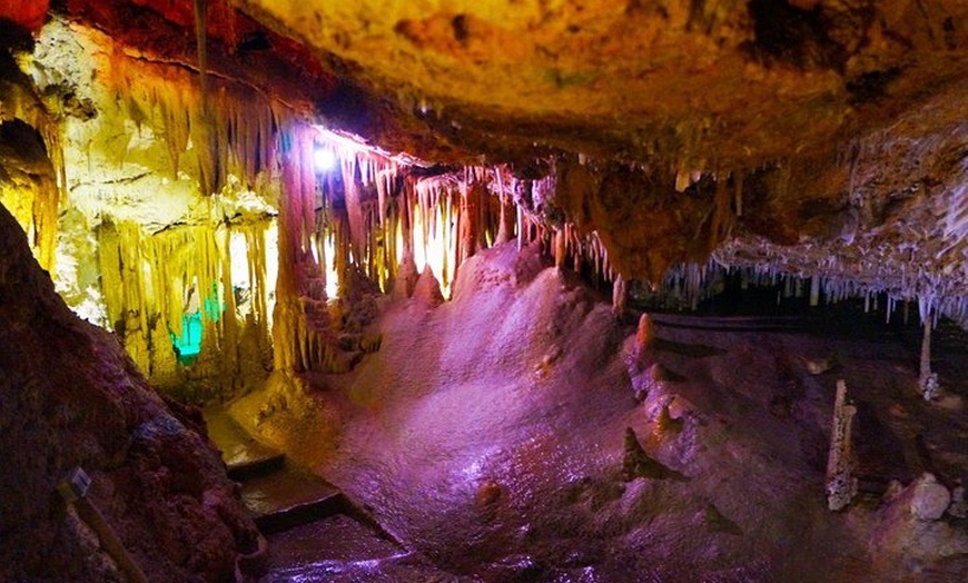 Image 6: Entrada a las cuevas de Génova en Palma de Mallorca