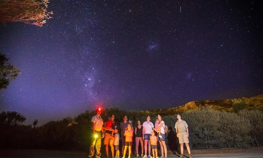 Image 3: Alice Springs Desert Park Nocturnal Tour