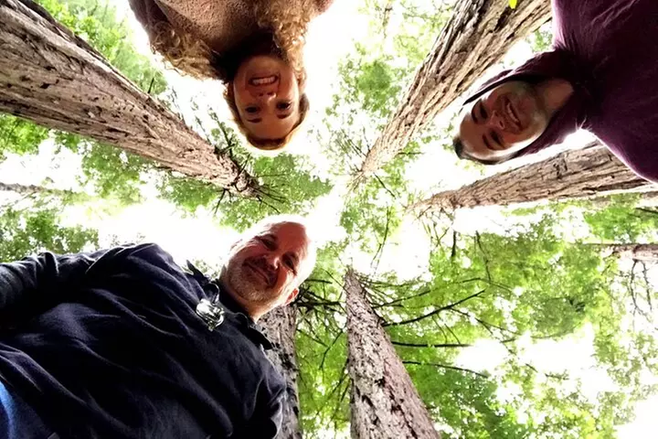 San Francisco & Muir Woods Full Day Small Group Private Tour - Primary Image
