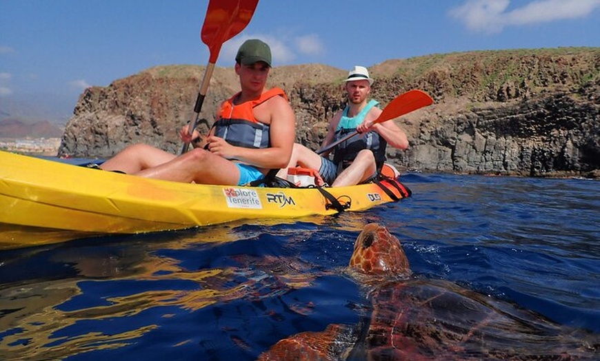 Image 2: Kayak con delfines y tortugas y esnórquel en Tenerife