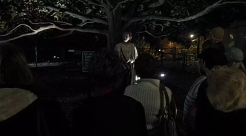 Supernatural Tour of Asheville - Primary Image