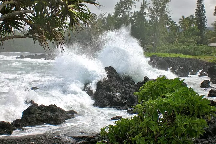 Small-Group Road to Hana Luxury Tour