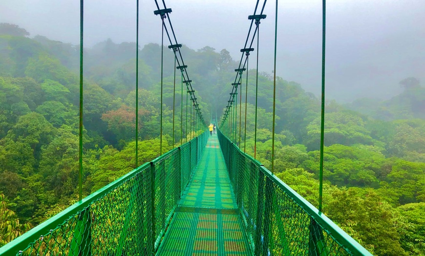 Image 12: ✈ COSTA RICA | De San José à Manuel Antonio - Autotour à la découve...