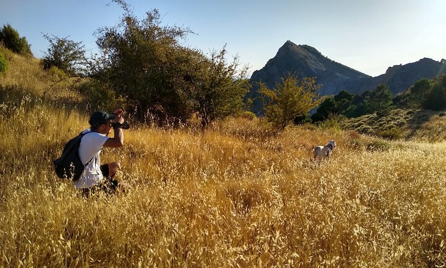 Image 13: NUEVO:Sunset Hike & Summit Sierra Nevada - Tour privado con cachorro