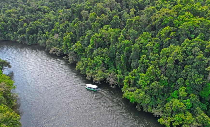 Image 2: Daintree River Cruise