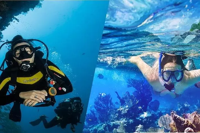 Snorkeling or Diving Tour to Key Largo, Florida - Primary Image