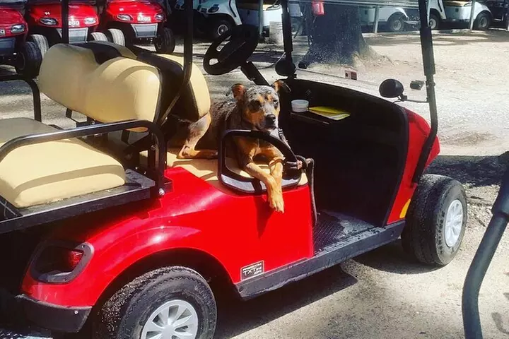 Golf Cart Rentals on Daufuskie Island - Primary Image