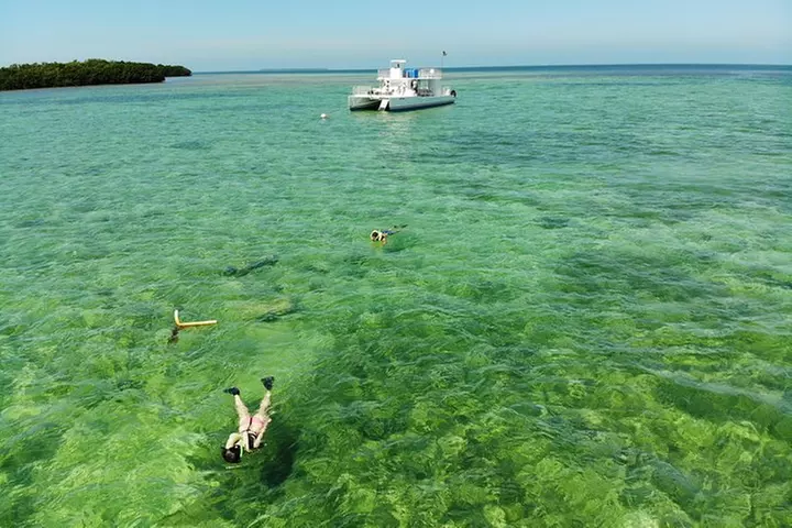 Key West Dolphin and Snorkel Experience