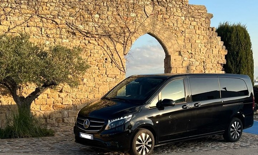 Image 4: Les Villages du Luberon & (Lavande juin/juillet) en visite privée