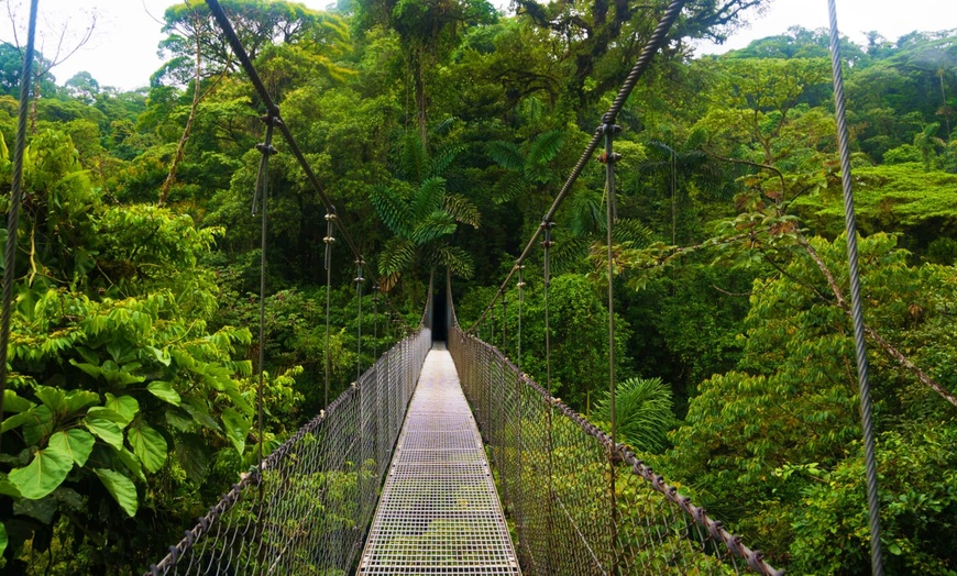 Image 11: ✈ COSTA RICA | San José - Autotour entre forêt tropicale et plage e...