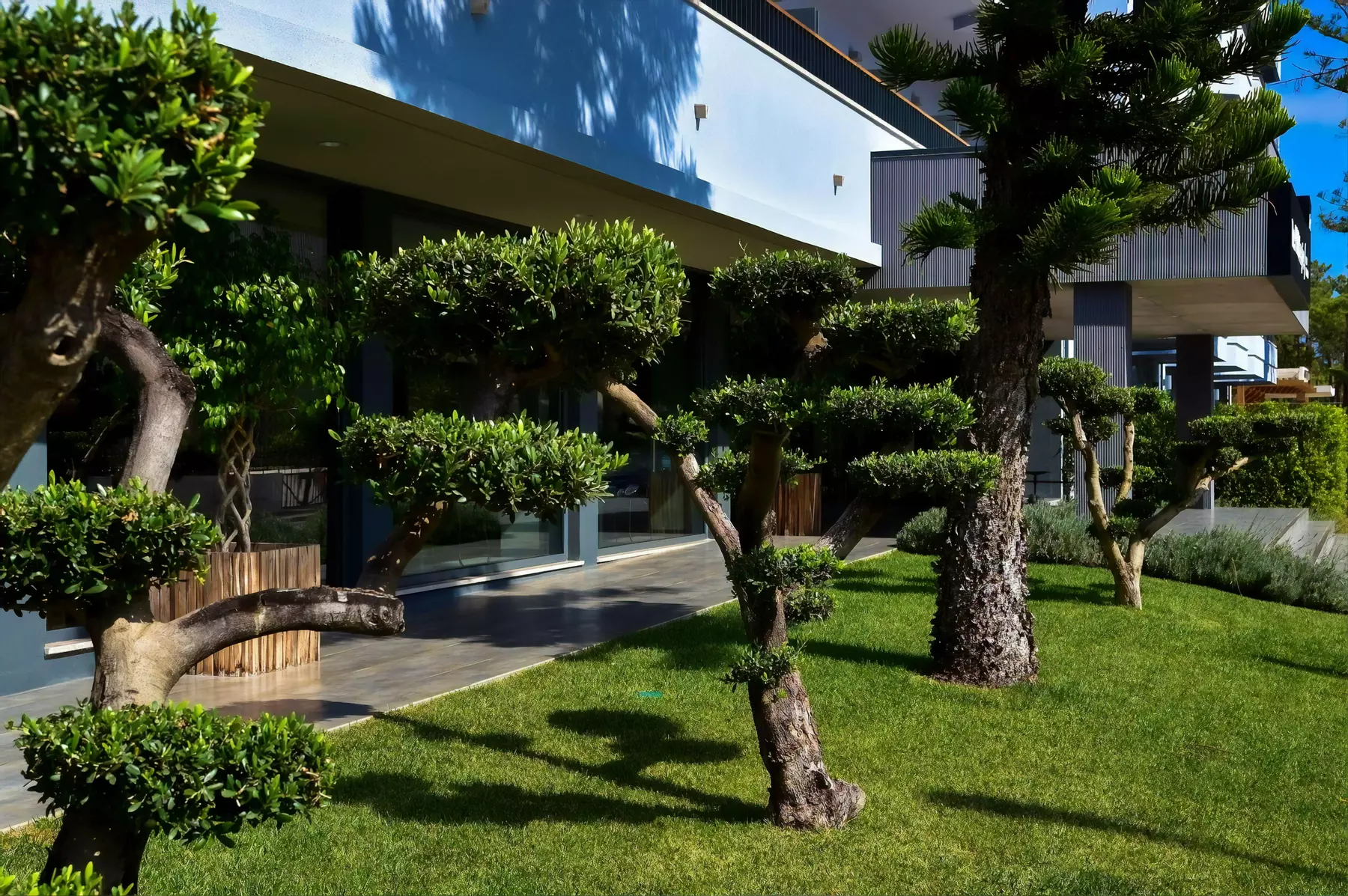 ✈ ALGARVE | Monte Gordo - The Prime Energize 4*, 2 Nächte - Hallenbad