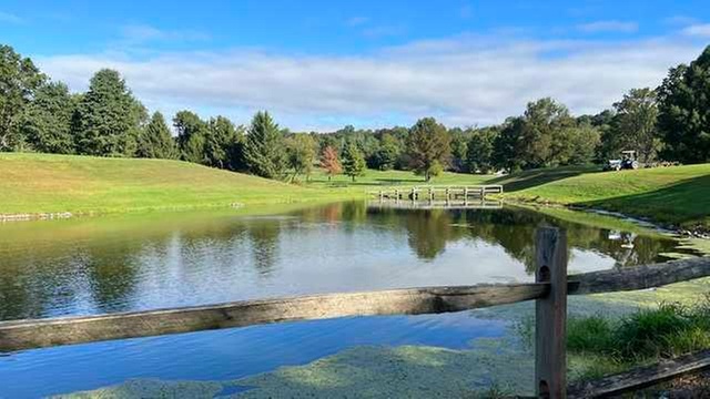 Online Booking - Round of Golf at Tree Top Golf Course