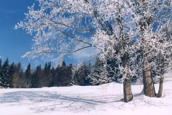 Albuquerque Snowshoe Experience