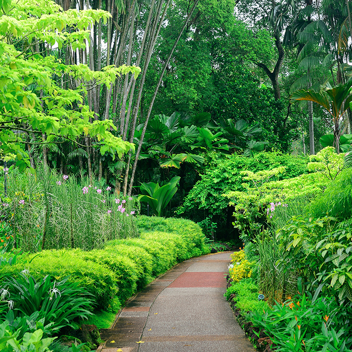 botanic garden